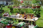 4.5.2008: Zweiter Pflanzenmarkt in Altheim